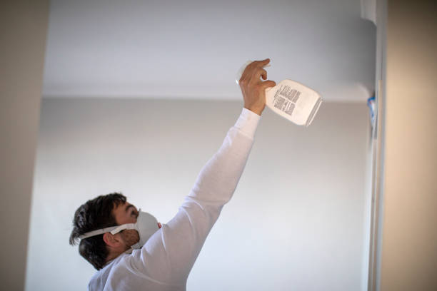Best Commercial Mold Remediation in Wimauma, FL